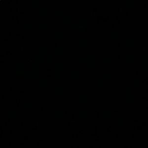 Meet your Posher, Xochitl